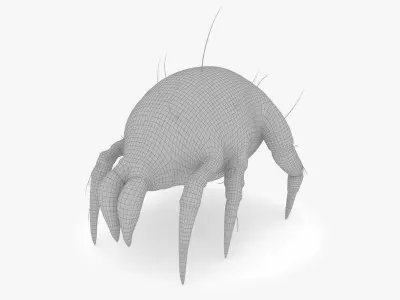 Dust Mite 3D model