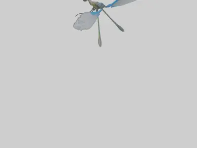 Damselfly landing model Low-poly 3D model