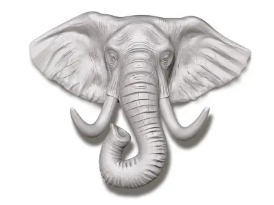Elephant Head 3D model buy
