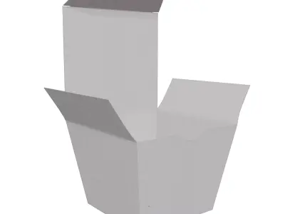 3D Packaging Box Mockup Cardboard Low-poly 3D model