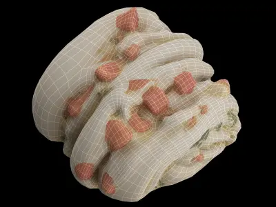 Chinesepastry Low-poly 3D model