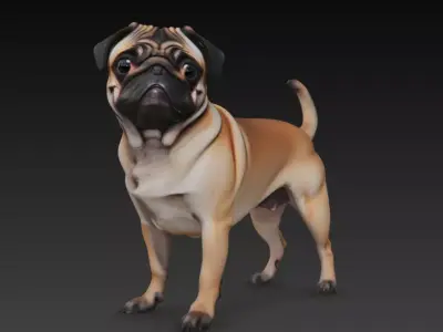 3D model PUG REALISTIC DOG 3D model