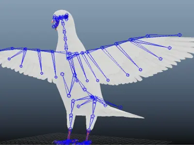 realistc White Dove- LOOP FLIGHT animation Low-poly 3D model