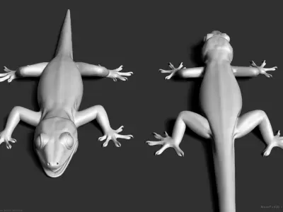 Tropical House Gecko Lizard - Highpoly Model 3D model