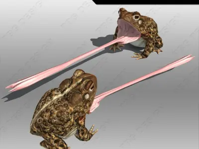 Toad Animated Low-poly 3D model