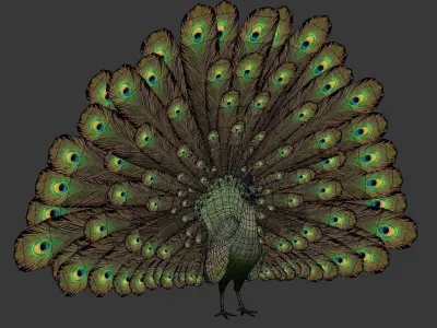 green peacock Low-poly 3D model