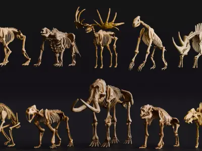 Realistic Mammals Fossil - Bundle Edition Low-poly 3D model