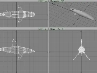Shark - Whitetip 3D model