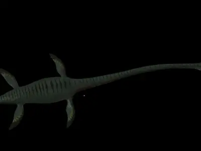 Elasmosaurus dinosaur Low-poly 3D model