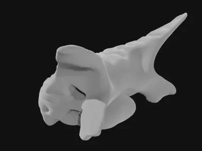 Ankylosaurus skull 3D model