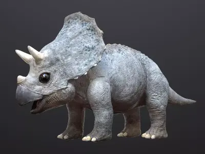 Triceratops Baby 3D Rigged model Low-poly 3D model