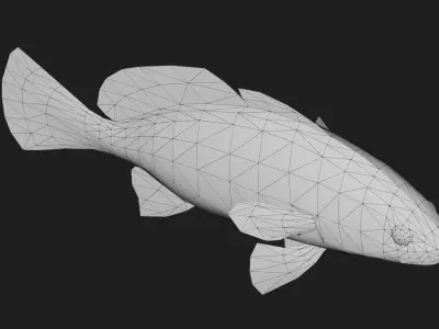 Corb fish Low-poly 3D model
