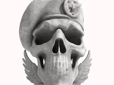 Naval Special Forces Skull 3D print model