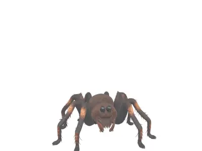 Giant Hairy Spider Plush 3D Model Game Character 3D model