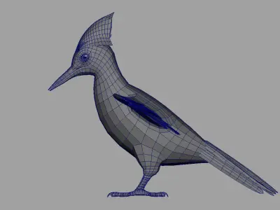 woodpecker bird 3d model 3D model