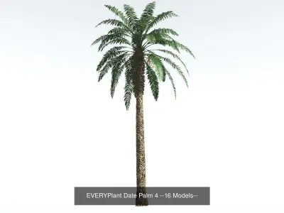 EVERYPlant Date Palm Bundle --64 Models-- 3D Model Collection