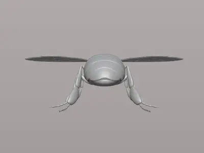 honey bee Free 3D print model