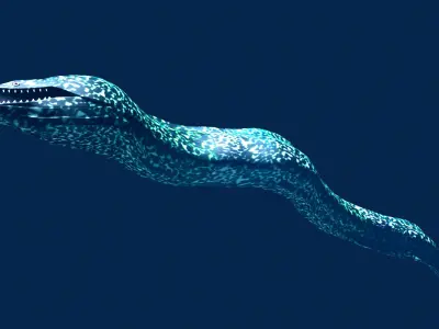 Moray fish swimming in ocean Low-poly 3D model