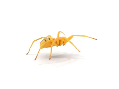 Golden Crab Spider model pack Low-poly 3D model