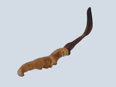 Cordyceps Low-poly 3D model