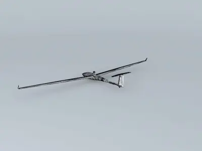DG-800 glider flying in sky 3D model