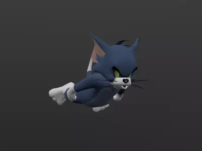 TOMC-005 Tom Cat Flying Low-poly 3D model
