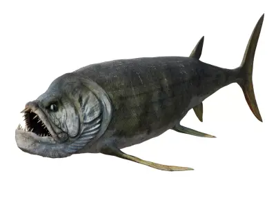 Xiphactinus 3D model