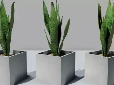 pot plant Free low-poly 3D model