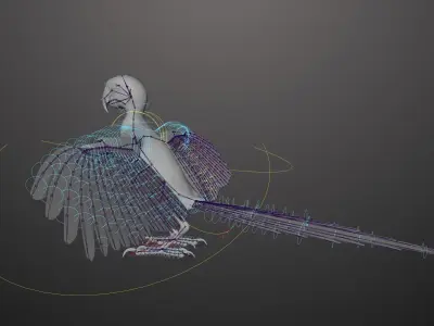 Basic model with Animation RIG of Macaw 3D model