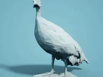 Bird Collection V1 Low Poly Models Low-poly 3D model