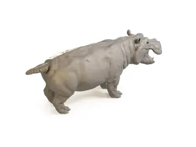 Hippopotamus 3D model 2
