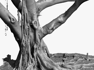 Giant Old Ficus Tree 5x24k textures RAW 3D scan 3D model