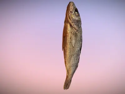 photorealistic scanned dried fish  Low-poly 3D model