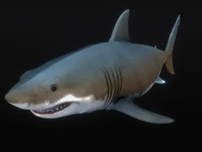 Jaws White Shark Low-poly 3D model