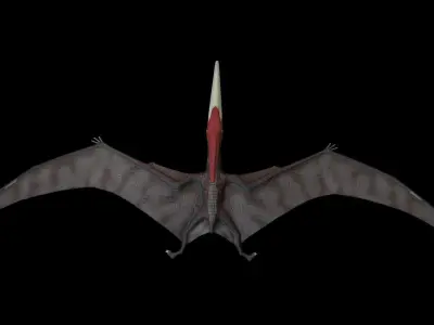Pteranodon dinosaur with long beak Low-poly 3D model