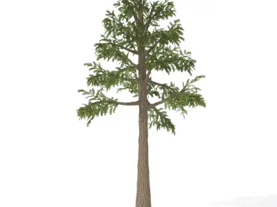 2020 XfrogPlants Prehistoric Library  3D model