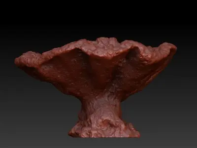 Sea Coral Scan 1 3D model