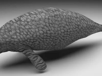 Sea Cow 3D model