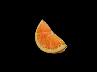 Orange Slice 3D model