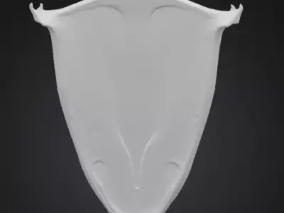 Arcane Guardian Shield Low-poly 3D model