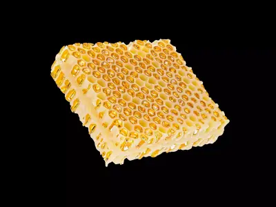 Honeycomb beeswax 3D model