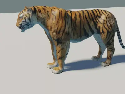 Tiger rigged 3D Model 3D model