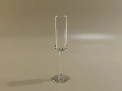 Champagne glass set 3D model