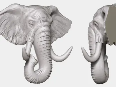 Elephant Head 3D model buy