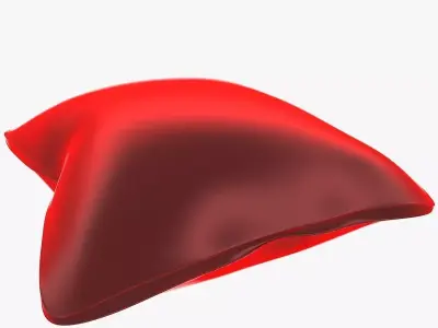 pillow Free low-poly 3D model