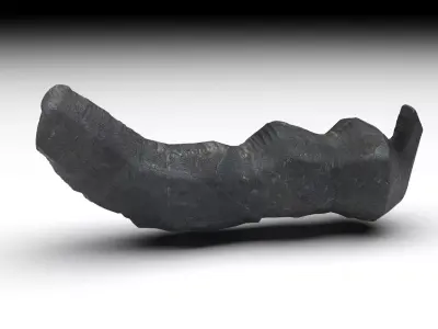 Dunkleosteus Tooth 3D model