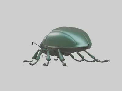 Beetle Model 1 Low-poly 3D model