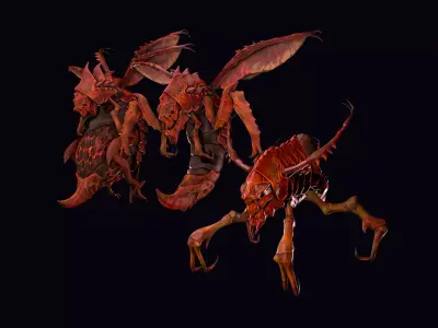 Insects family pack Low-poly 3D model