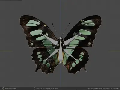 butterflies animation Low-poly 3D model