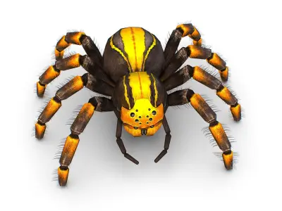 LowPoly Gigant Tarantula Spider Low-poly 3D model